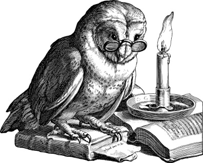 owl reading 27.1.20
